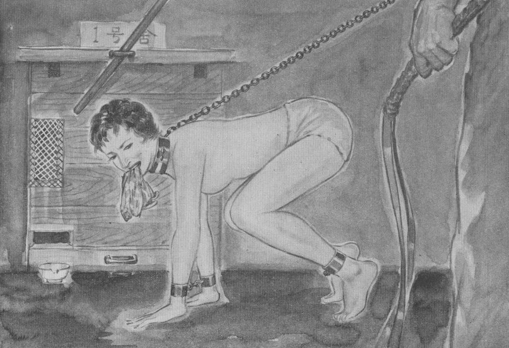 stripped and chained and flogged until she cleans the filthy floor with the rag in her mouth
