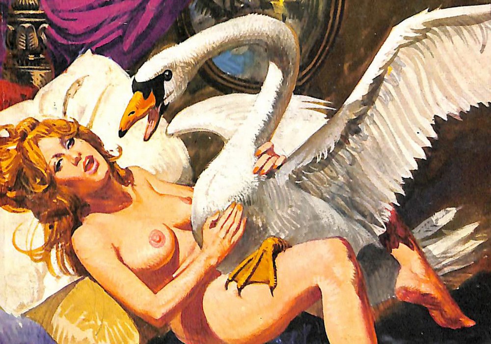leda and the swan pulp cover version