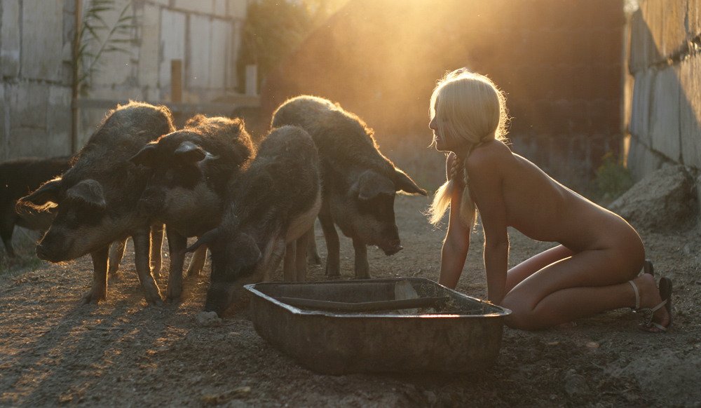 blonde woman kneeling to eat out of a pig trough with several hogs